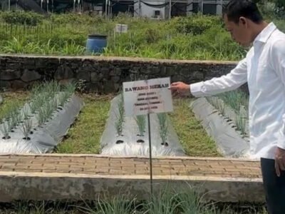 Cek Pelayanan Publik dan Antisipasi Dampak Kemarau, Wakil Bupati Bogor Pastikan Layanan Masyarakat Tetap Optimal