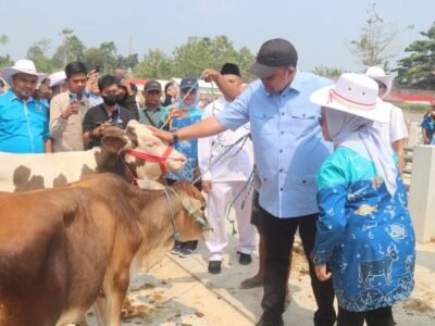 Pasar Hewan Jonggol Jadi Pusat Perdagangan Ternak Bogor, Bisa Tampung 700 Sapi dan Kerbau Sekaligus