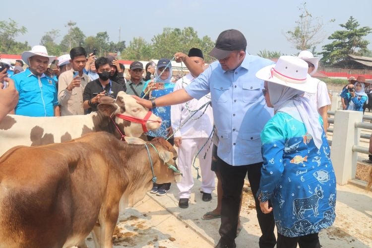 Pasar Hewan Jonggol Jadi Pusat Perdagangan Ternak Bogor, Bisa Tampung 700 Sapi dan Kerbau Sekaligus