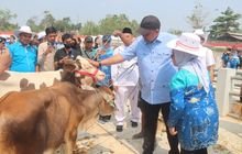 Pasar Hewan Jonggol Jadi Pusat Perdagangan Ternak Bogor, Bisa Tampung 700 Sapi dan Kerbau Sekaligus