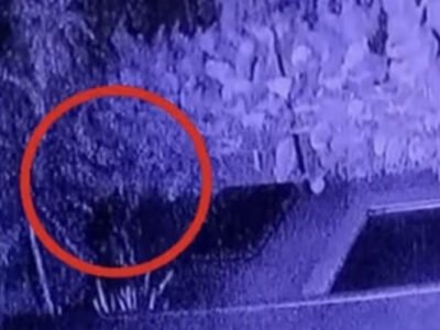 Rumah Warga di Bogor Lakeside Dibobol Maling, MacBook hingga HP Xiaomi Raib