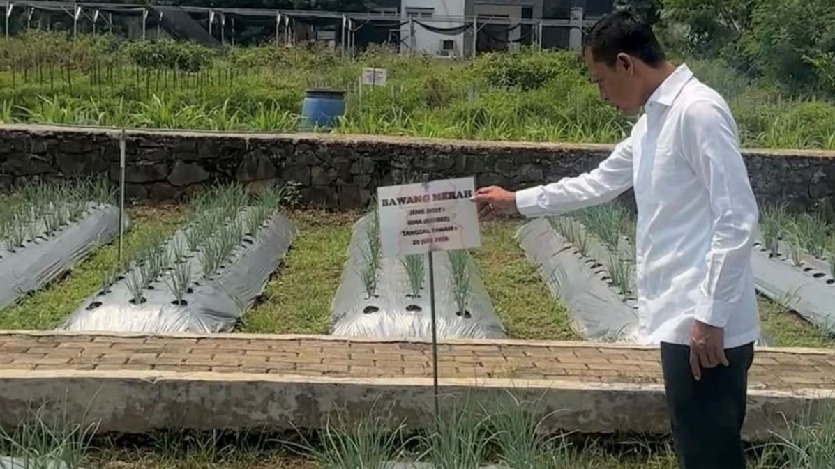 Wakil Bupati Bogor Jaro Ade kunjungan ke Dinas Tanaman Pangan, Hortikultura dan Perkebunan (Distanhorbun) Kabupaten Bogor, kemarin.