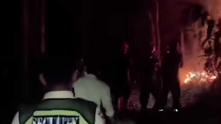Damkar Ungkap Penyebab Kebakaran Lahan Perbukitan di Bojong Koneng Bogor