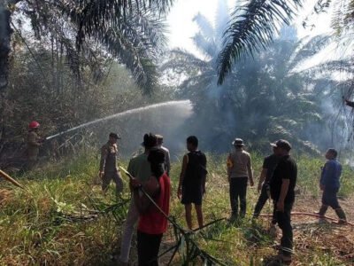 Kebakaran Lahan Bambu di Gunungsindur, 4 Armada Damkar Dikerahkan