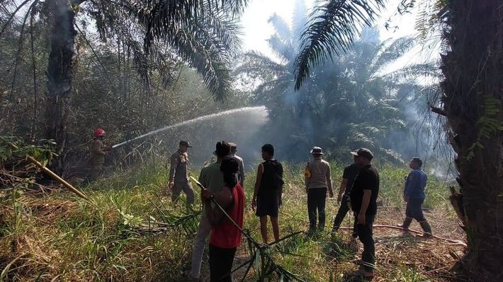 Kebakaran Lahan Bambu di Gunungsindur, 4 Armada Damkar Dikerahkan