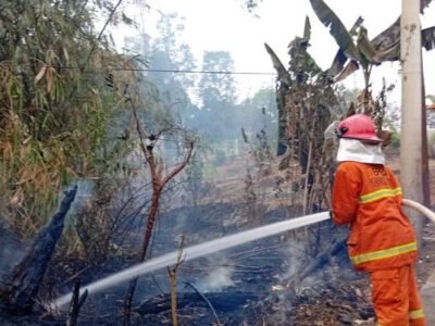 Karhutla Melanda Tenjo Bogor, Lahan Terbakar Diduga Akibat Bakar Sampah