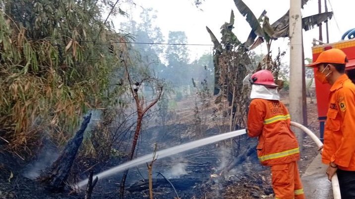 Karhutla Melanda Tenjo Bogor, Lahan Terbakar Diduga Akibat Bakar Sampah