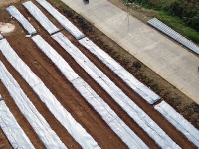 TNI Garap Lahan Bomang Bareng Petani, Ditanami Cabai hingga Tomat Dorong Ketahanan Pangan