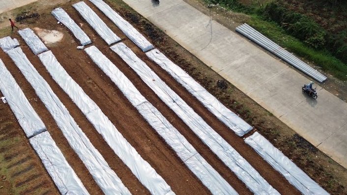 TNI Garap Lahan Bomang Bareng Petani, Ditanami Cabai hingga Tomat Dorong Ketahanan Pangan