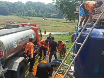 701 Hektare Sawah di Jonggol Tak Bisa Ditanami Akibat Kekeringan dan Puluhan Hektare Padi Terancam Puso, Ini Langkah Pemkab Bogor