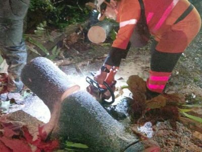 Pohon Tumbang Timpa Pagar Sekolah dan Tutup Jalan Ciremai Ujung Bogor