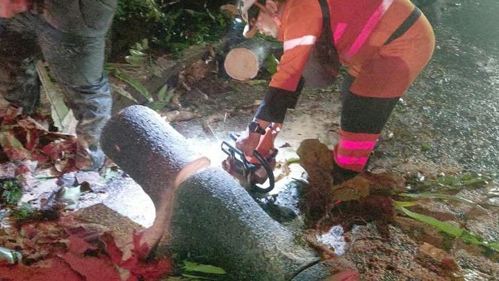 Pohon Tumbang Timpa Pagar Sekolah dan Tutup Jalan Ciremai Ujung Bogor