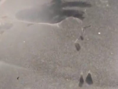 Erupsi Gunung Anak Krakatau Berdampak ke Bogor, Abu Vulkanik Terlihat di Sejumlah Rumah Warga Perumahan de Paris Residence