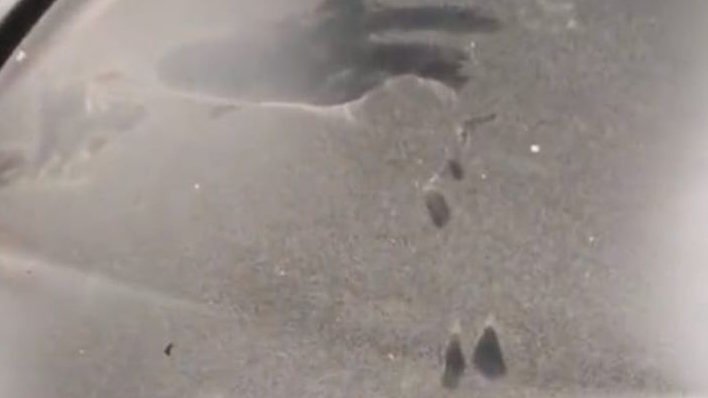 Erupsi Gunung Anak Krakatau Berdampak ke Bogor, Abu Vulkanik Terlihat di Sejumlah Rumah Warga Perumahan de Paris Residence