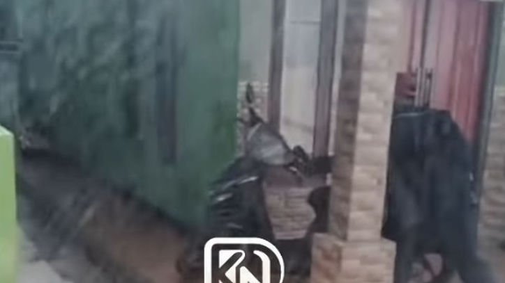 Diduga Hendak Curi Motor dengan Modus Pura-Pura Jadi Pemulung di Cicadas Bogor, Aksi Pria Ini Berhasil Digagalkan Warga